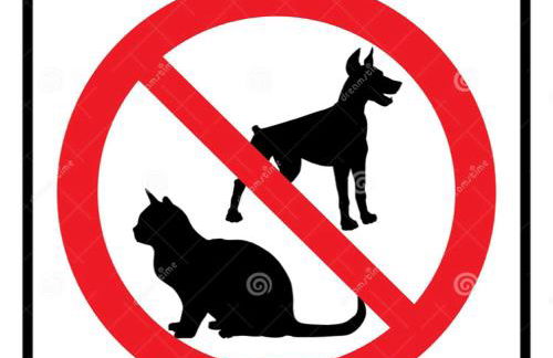 Visit Gibraltar stay in La Linea for less! - Foto 17