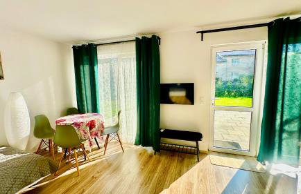 Domki Pasieka Domek D - Foto 16