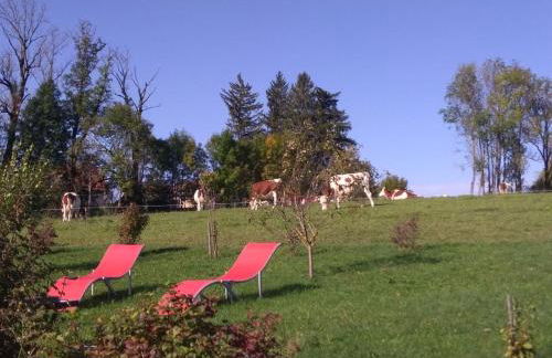 Gite 2-3 personnes Arçon proche Pontarlier - Foto 2