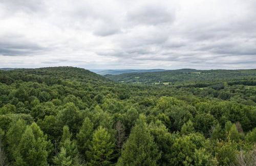 Campbell Estates - Foto 9