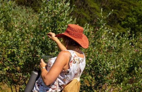 Blueberry Farm Cottage, Hot Tub, Creek, Game Room - Foto 18