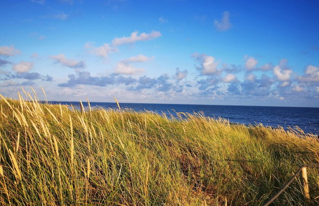 4 Star Holiday Home in Blavand - Foto 56