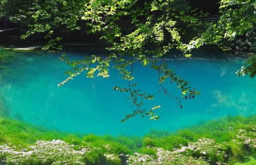 Ferienwohnung Die Schmiede - Foto 19