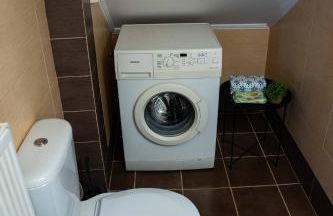 Among the pines - Foto 20