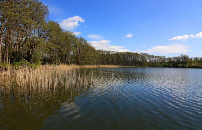 Bungalow am See mit Ruderboot in Klein Labenz - Photo 24