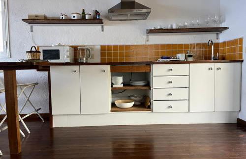 Dos Violetas - Foto 28