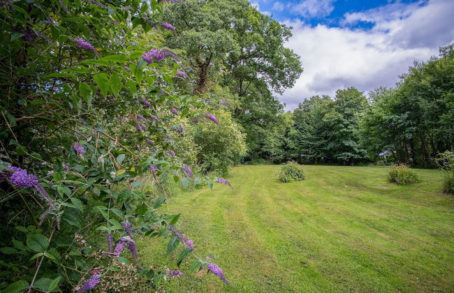 Wern Y Glais - 2 Bedroom Cottage - Glais - Photo 50