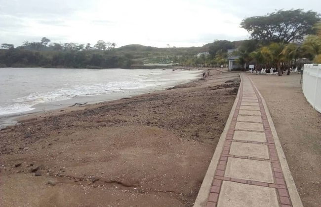 Room in Guest Room - Room in Comfortable Apartment Located on the Beach Very Close to the City - Foto 16