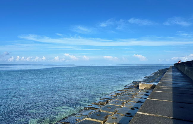 The FLOW Okinawa - Photo 42