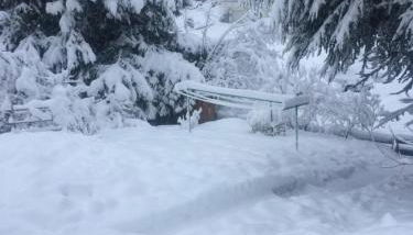 Ferien am Wald - Foto 5