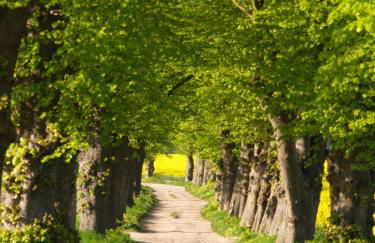 Villa DUXCAAR - Foto 35