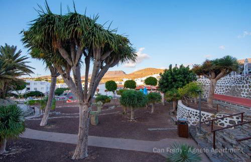 Can Fredy - Private Apartment Agaete - Foto 47