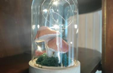 Widny Jaś zaprasza z psem nad jezioro na Kaszubach - Foto 16