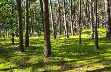 Apartamenty Promyk Wisełka - Foto 78