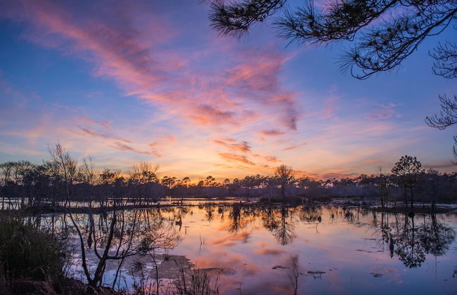 Nautical Watch D-6 - Foto 8