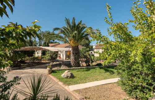 Résidence Spelonca - Foto 25