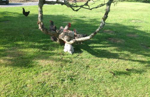 Molehill lodge - Foto 30