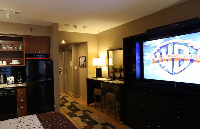 Visitor Accommodation - Photo 7