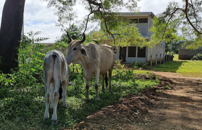 Apartamentos Montiel - Photo 20