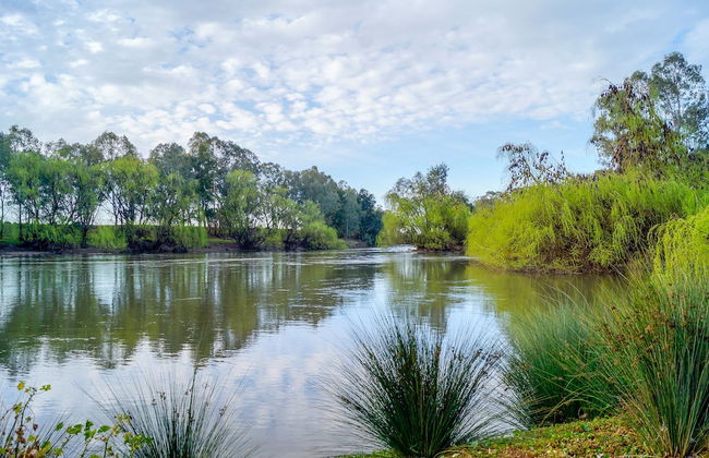 BIG4 Ingenia Holidays Wagga Wagga - Foto 1