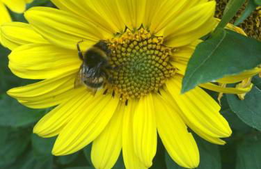 Ferienwohnung Kluge - Foto 31