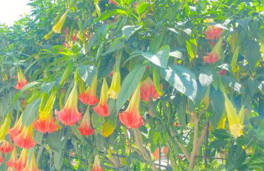 Seaside home - Foto 23