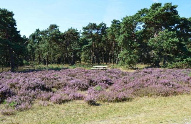 Home in the Dancing Forest - Foto 28