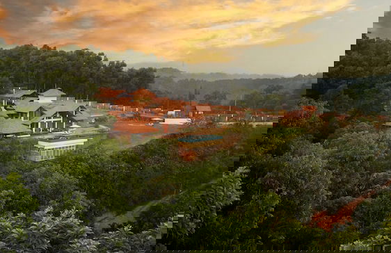 Amã Stays & Trails Vivid Foliage Kasargod, Mangalore - Photo 23