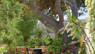 Gemilos Nook - Foto 4