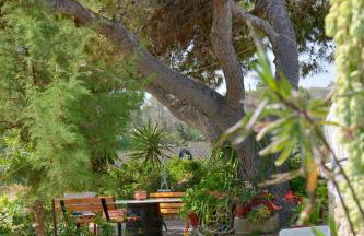 Gemilos Nook - Foto 4