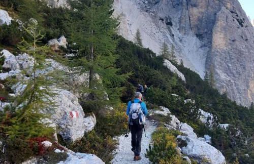 DOLOMITI DA VIVERE - Photo 42