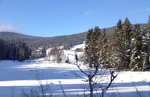 Holiday Apartment Finkennest - Foto 33