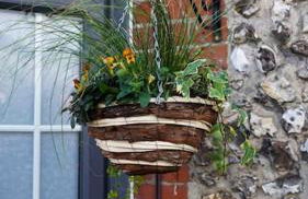 *Stunning* The Botanist Rest Ventnor IOW - Foto 49