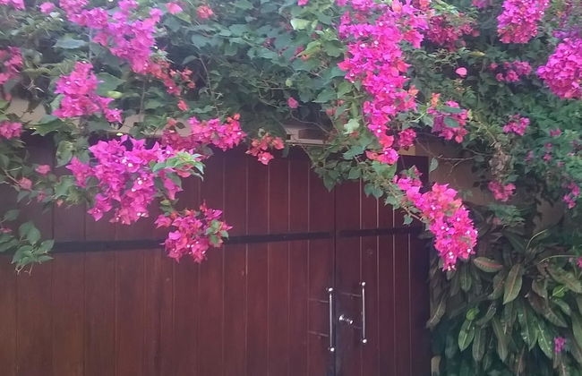 Villa Tara - Foto 52