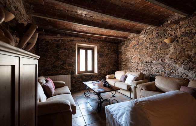 Can Barnosell - Els Masos d'en Coll - Foto 55