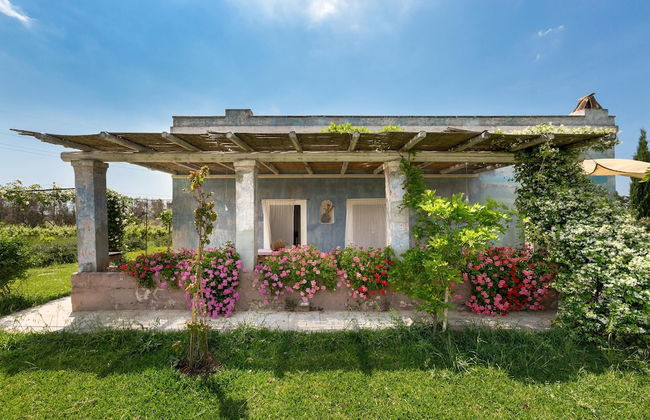 Le Cernicole - Foto 31