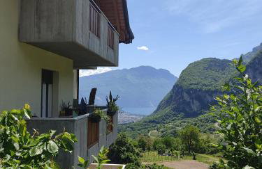 Villa Dream alla Beppa - Photo 41