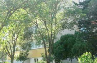 Apartment Banovac - Foto 24