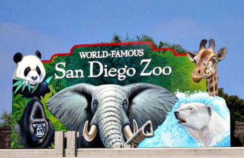 Viva San Diego - Foto 24