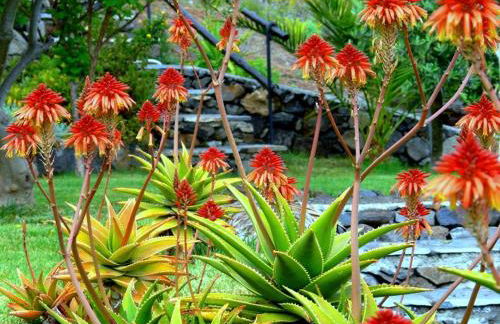 Villa Buena Vista - Foto 28