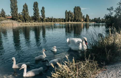 La Forgia Apartment - Photo 27