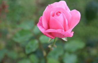 GITE MONTGOLFIÈRE 4 PERSONNES - Foto 12