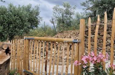 maison du olival - Foto 29