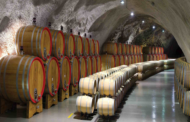 Grande Podgorica: Kuči, Adega Tradicional, Cânion Cijevna e Cataratas de Niágara - Tour Privado - Foto 2