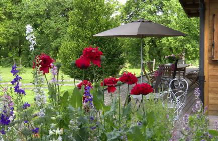 Gîte des Conquettes - Photo 19