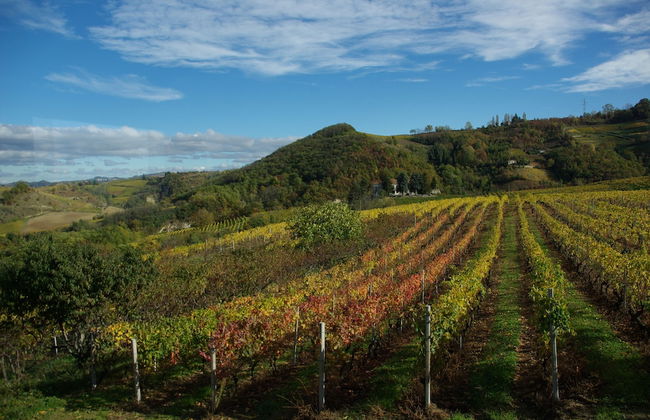 Agriturist Rupestr - Photo 37