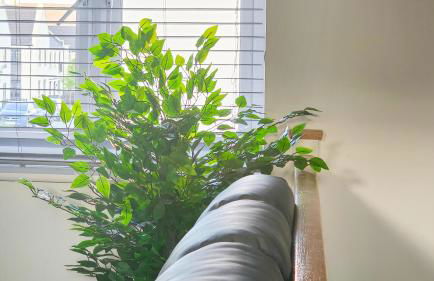 Stunning Two-Bedroom Apartment at A3REE, Free Parking, near Cribbs Causeway Mall - Foto 8