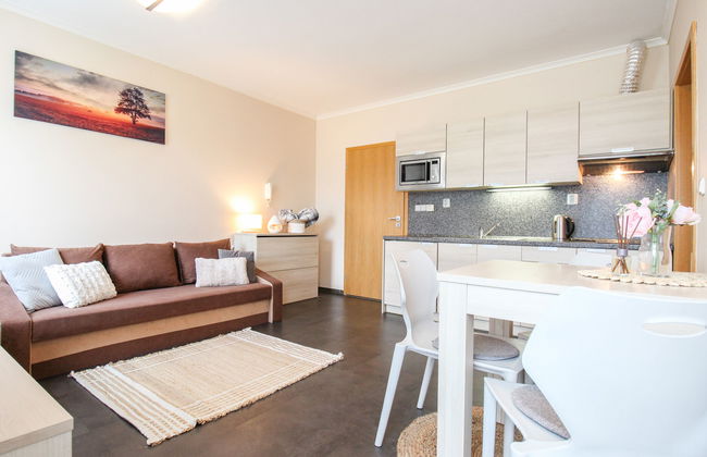 Resident Harrachov B - Foto 4