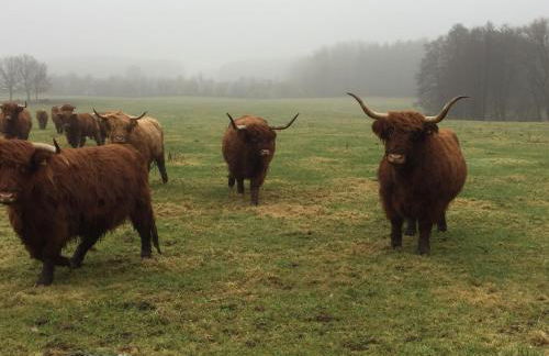 Ländliches HideAway zwischen Hamburg und Lübeck - Foto 21