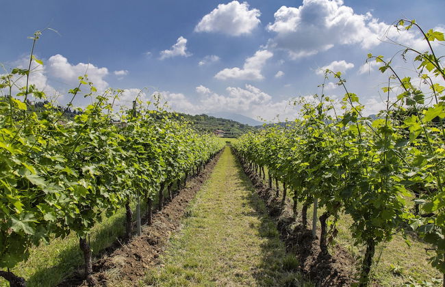 Agriturismo La Rocca - Foto 46